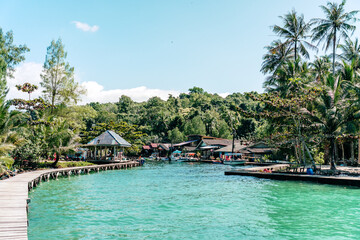 Obraz premium A beautiful tropical beach with palm trees and a river