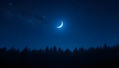 Night sky with moon and stars
