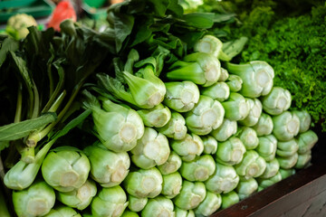 A large quantity of fresh raw green bok choy (pokcoy) displayed, highlighting its crisp stems and vibrant leafy tops, commonly used in Asian cuisine