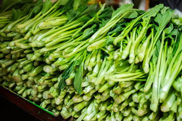 A large quantity of fresh raw mustard greens (sawi) displayed, showcasing their crisp texture and vibrant green leaves, commonly used in Asian cuisine