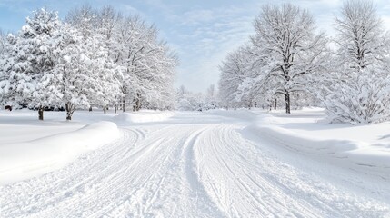 Fototapeta premium Snowy winter path through trees (1)