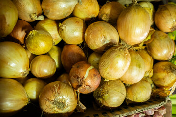 Fresh onions (bawang bombay) neatly displayed, showcasing their round shape, smooth golden skin, and firm texture, commonly used in various culinary dishes