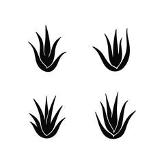  aloe vera icons, black and white silhouettes, simple plant illustrations 