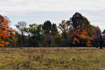 autumn in the mountains
