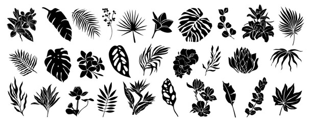 Set of black silhouettes of tropical leaves, flowers. Hand drawn elegant exotic eucalyptus, monstera leaves, lotus, birth of paradise, magnolia, hibiscus flowers. Trendy botanical vector.  © Creative_Juice_Art