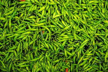 Fresh raw green bird’s eye chilies (cabai rawit hijau) displayed, featuring their small size, smooth texture, and intense spiciness, commonly used in Asian cuisine