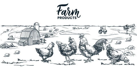 Chicken poultry farm hand drawn sketch vector illustration. Hen rooster on meadow or field. Farming landscape background © Qualit Design