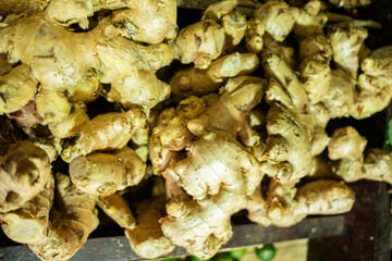 Fresh raw ginger roots displayed, highlighting their knobby texture and light brown skin, widely used in cooking, beverages, and traditional medicine