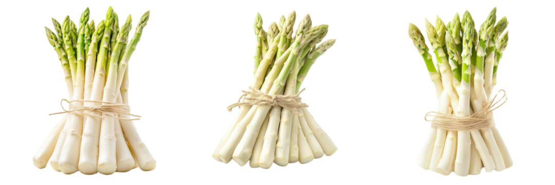 Set of A young man holding a megaphone, standing in front of a peaceful protest with people holding 'Stop War' signs on transparent png background. Ai generated - Powered by Adobe