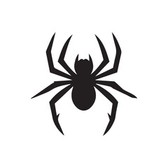 unique spider vector
