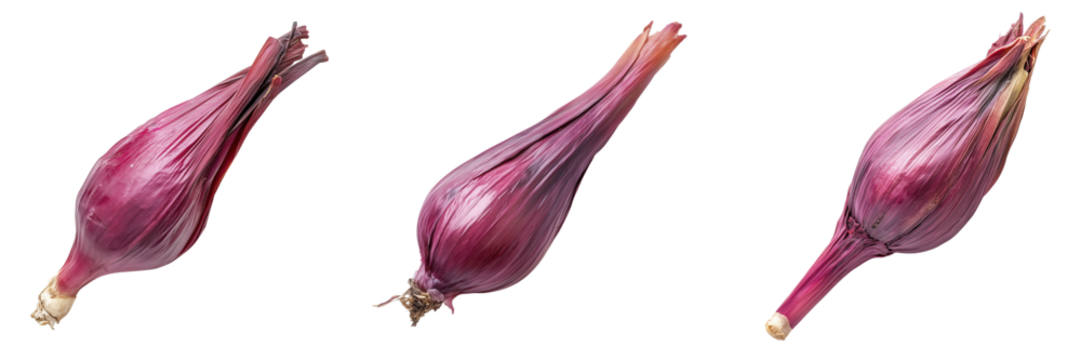Set of A close-up of several whole onions with papery outer layers intact, placed on a seamless on transparent png background. Ai generated