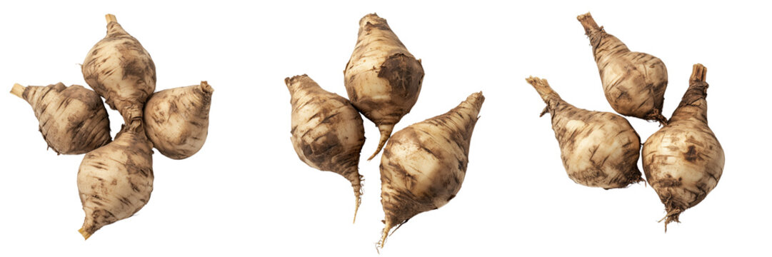 Set of Close-up of maca roots with a rough, textured surface, placed on a dark, moody background with soft on transparent png background. Ai generated