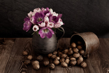 still life with a bouquet of tulips and walnuts. Tulips of different shades - from dark purple to soft pink and white