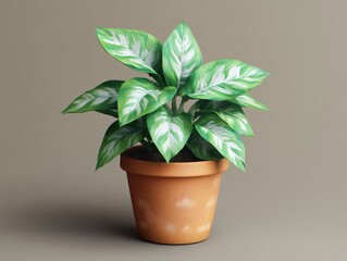 Fototapeta premium Silver evergreen plant in terracotta pot against neutral backdrop capturing indoor botanical beauty