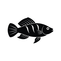 Royal Gramma Silhouette Vector Art and Black Color Royal Gramma Fish Design Illustration