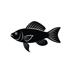 Royal Gramma Silhouette Vector Art and Black Color Royal Gramma Fish Design Illustration