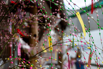 Fototapete bei efototapeten.de bestellen   