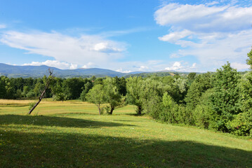 golf course in summer