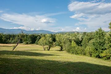 golf course in the morning