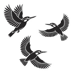 set of birds