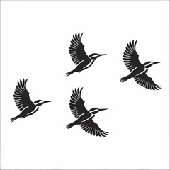 set of birds