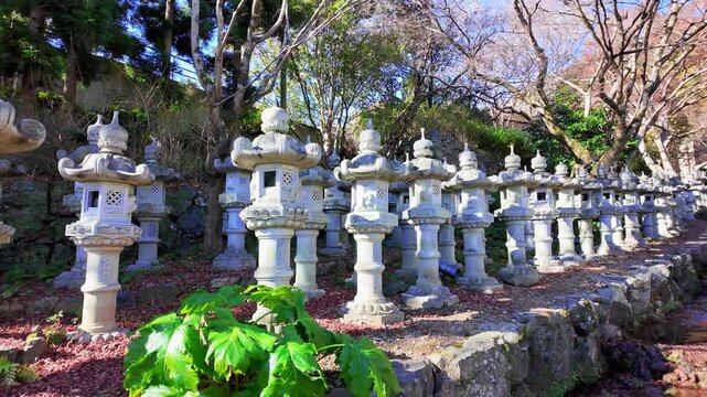 Row of Traditional Japanese Stone Lanterns in Garden
