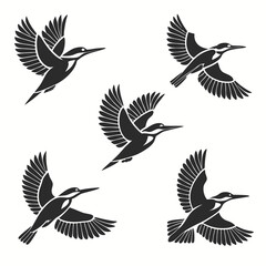 set of birds
