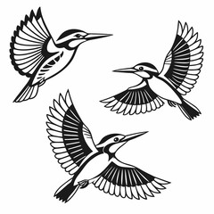 Fototapeta premium set of birds