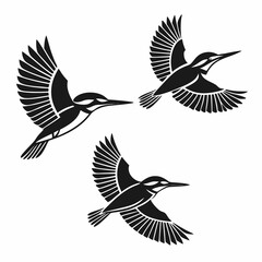 Obraz premium set of birds