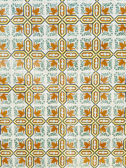 Intricate Portuguese Azulejo Tile Pattern