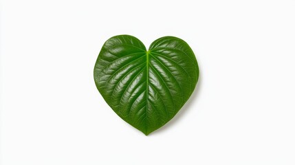 Heart-Shaped Green Leaf on a Clean White Background for Design Use