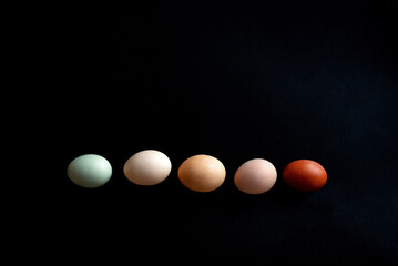 eggs on the black background