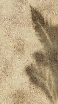 Travertine wall texture with palm shadow overlay. Top view of tropical summer sandstone background with plant shade. Aesthetic wallpaper.