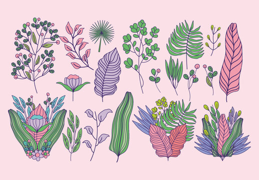Pink and Purple Floral Botanical Decorative Illustration Set