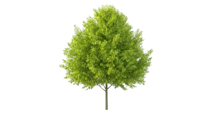 Striking silhouette of a solitary tree against dark, evocative backdrop 