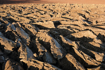 Fototapeta premium Close-up of clods, freshly ploughed field. Modern farming and irrigation business concept.Fresh arable land after the tractor before sowing