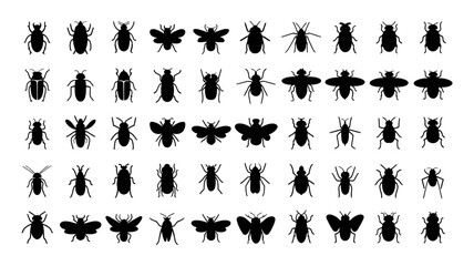 Obraz premium Set of Black Silhouettes of Various Insects, Beetles, Flies, and Ants in Different Poses, Isolated 