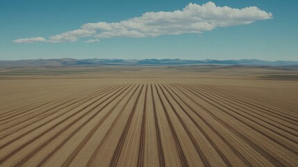 Naklejka premium Aerial view Farmland rows, desert landscape, sunny day