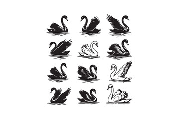Black Swan Silhouette Illustration Set