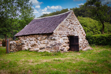 Obraz premium old house in the forest