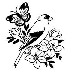 bird on a branch