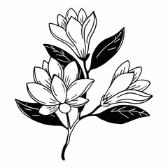 vector illustration of a flower