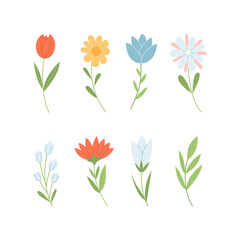 A set of summer and spring wildflowers. Hand drawn vector illustration.