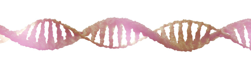  Elegant Golden-Pink DNA Strand – Isolated Double Helix Structure (Transparent Background)