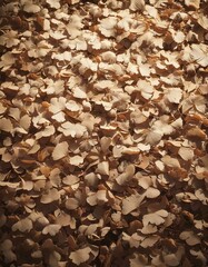 Scattered dried leaves background