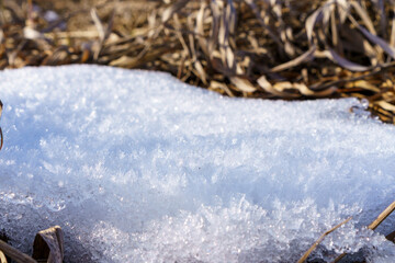 Frost-Covered Ground with Dried Grass Stems in Stangenhagen, Brandenburg