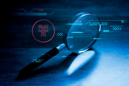 software security assessment , vulnerability check