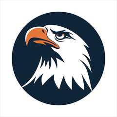 Obraz premium american bald eagle