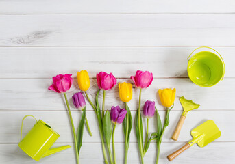 Easter background. Coloring spring tulips on light wooden table.