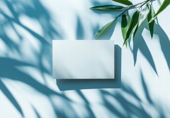 blank card with green leaves